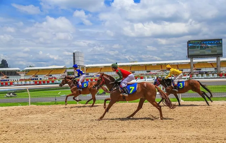 Giải Mã Cá Cược Đua Ngựa C54 Để Trở Thành Tay Chơi Bất Bại 2 Giải Mã Cá Cược Đua Ngựa C54 Để Trở Thành Tay Chơi Bất Bại