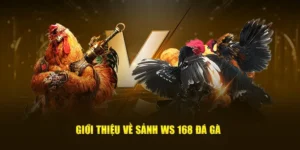 Tuyệt Đỉnh Cách Chơi Đá Gà WS168 Tại C54 Cho Người Mới 1 Tuyệt Đỉnh Cách Chơi Đá Gà WS168 Tại C54 Cho Người Mới
